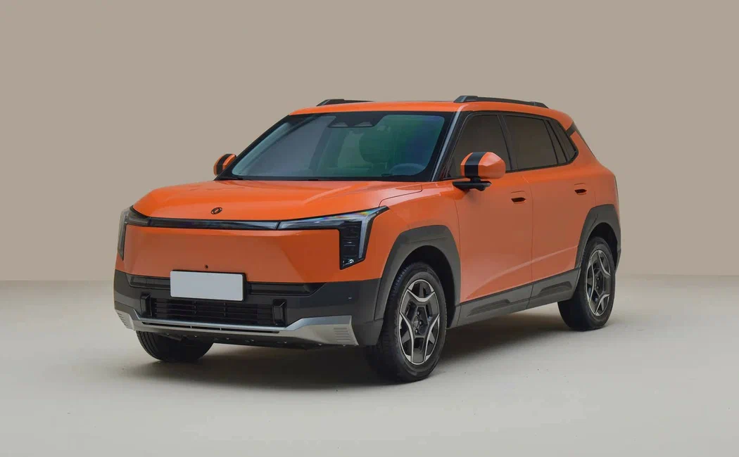 Dongfeng Nammi 06